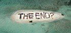 "THE END?"